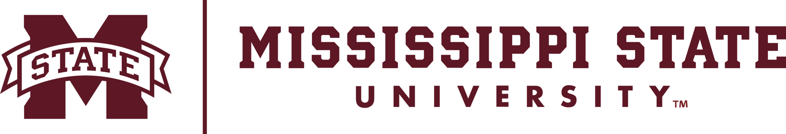 Mississippi State University